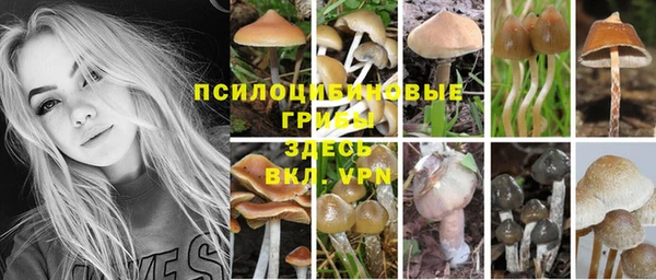 a pvp Абинск